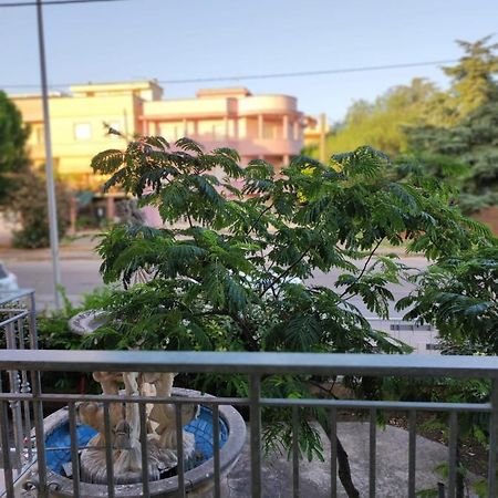 B&B Mazzini Grottaglie Ngoại thất bức ảnh